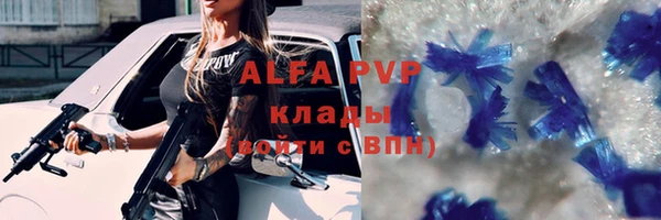 прущие грибы Магас