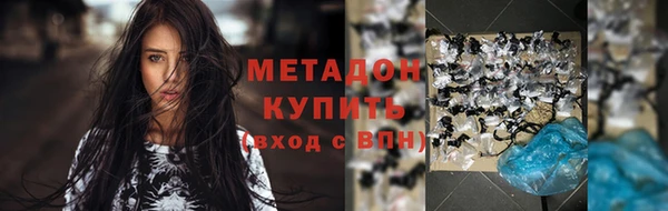 прущие грибы Магас