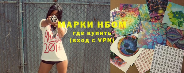 прущие грибы Магас