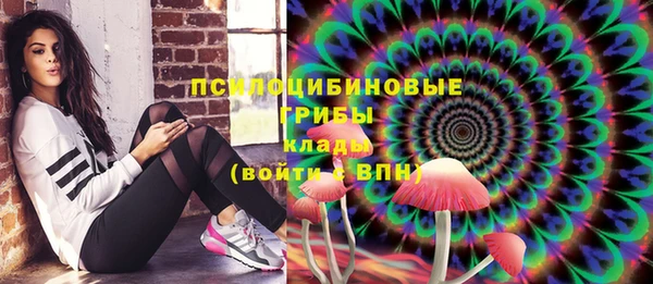 прущие грибы Магас