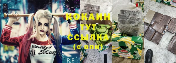 стаф Верхний Тагил