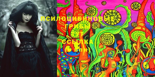 амф Магадан