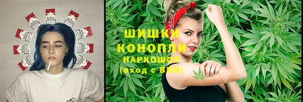 прущие грибы Майский