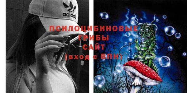 метадон Липки
