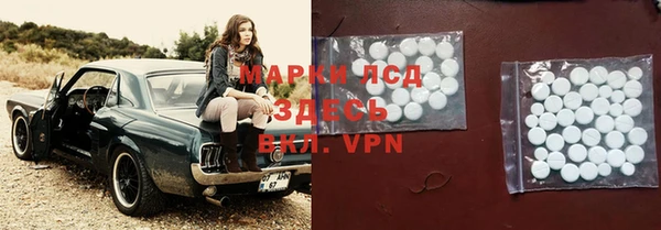 прущие грибы Магас