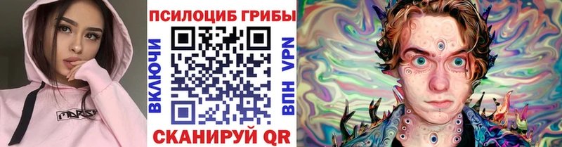 Псилоцибиновые грибы ЛСД Щёлково