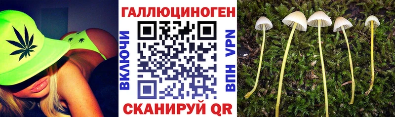 Псилоцибиновые грибы Psilocybe  площадка телеграм  Щёлково 